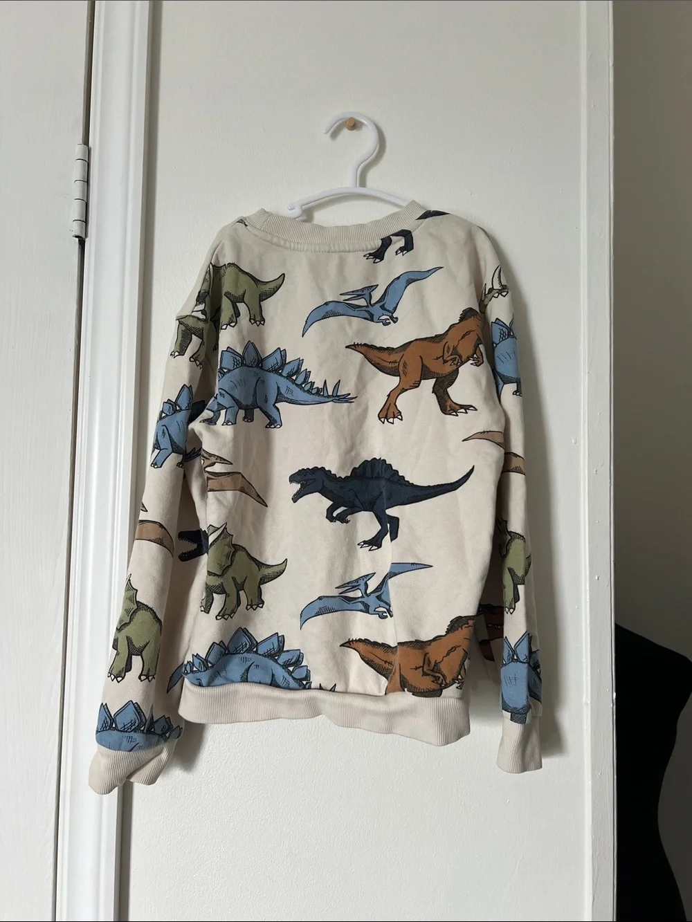H&M Kids Dinosaur Print Sweatshirt 6X/7 Crewneck Pullover